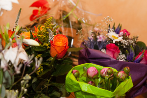 bremer hebammen praxis, Zehn j&auml;hriges Jubil&auml;um